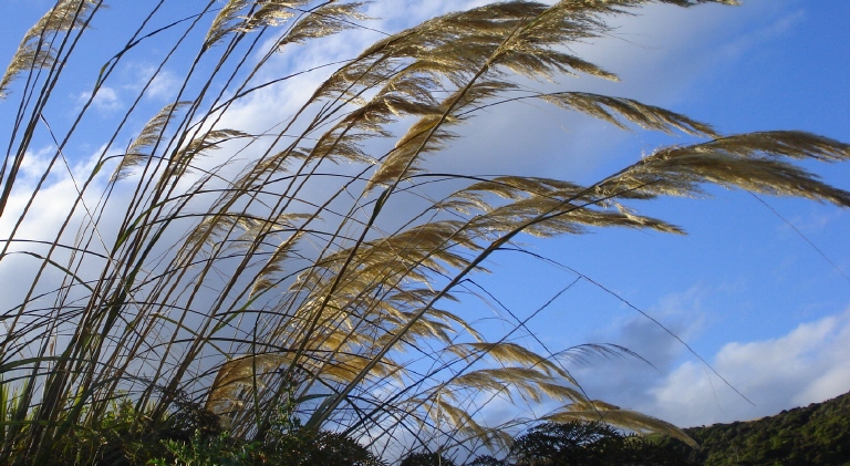 Kontex Herbst